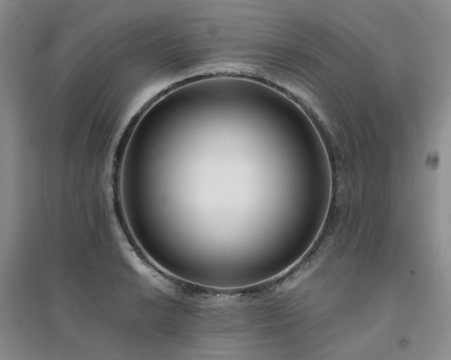 X0000094431038200711151338