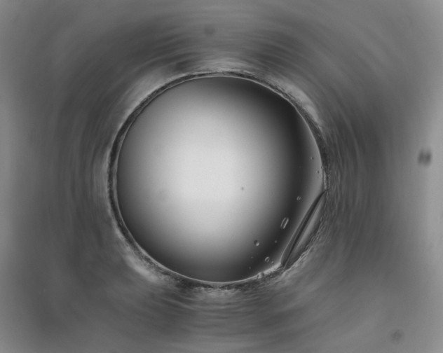 X0000094431039200711151338
