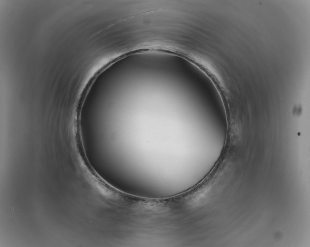X0000094431040200711151338