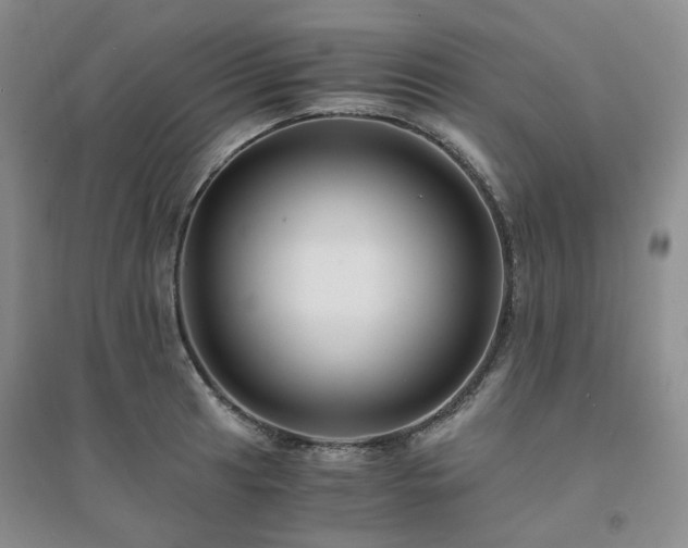X0000094431041200711151338