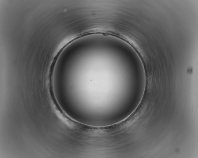 X0000094431042200711151338