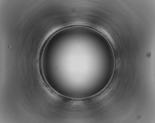 X0000094431043200711151338