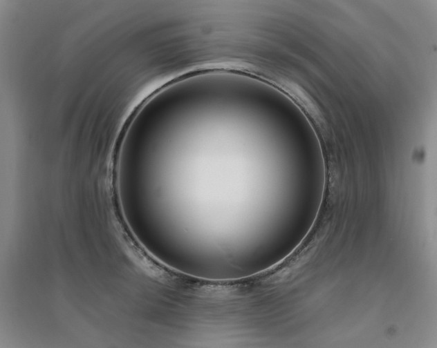 X0000094431044200711151338
