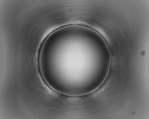 X0000094431046200711151338