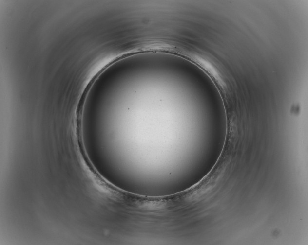 X0000094431047200711151338