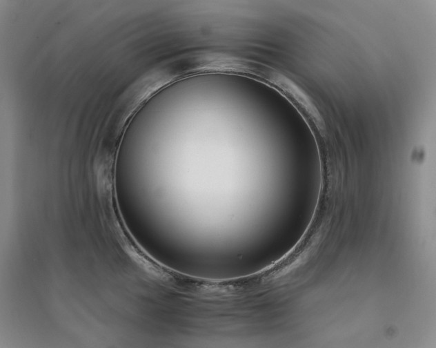 X0000094431049200711151338
