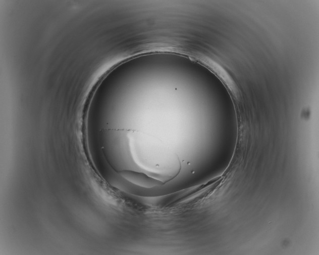 X0000094431051200711151338