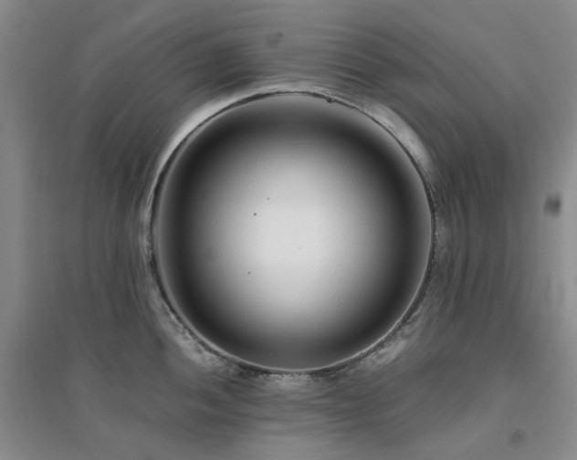 X0000094431052200711151338