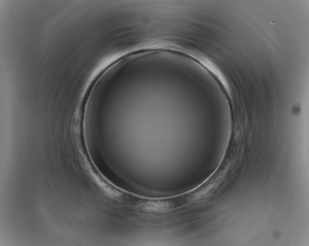X0000094431053200711151338