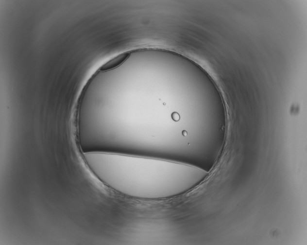 X0000094431056200711151338