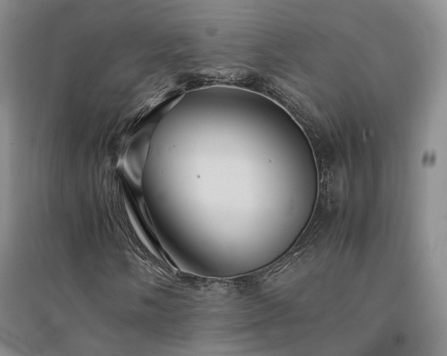 X0000094431058200711151337