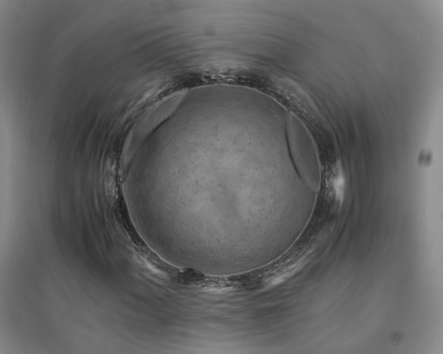 X0000094431060200711151337