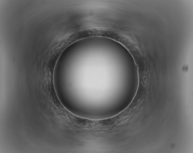 X0000094431061200711151337