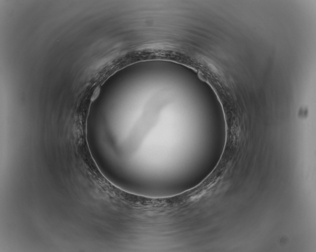 X0000094431062200711151337