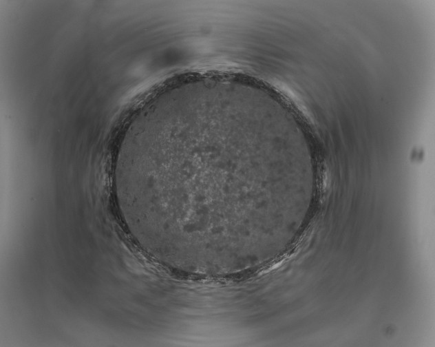 X0000094431063200711151337