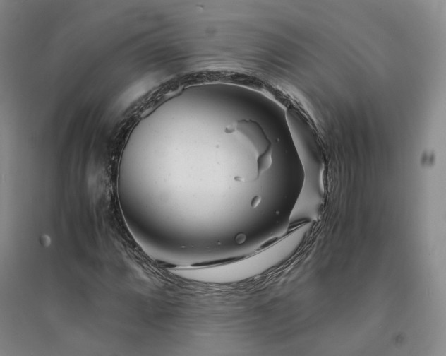 X0000094431064200711151337