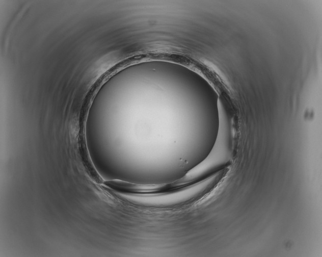 X0000094431065200711151337