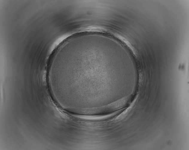 X0000094431066200711151337