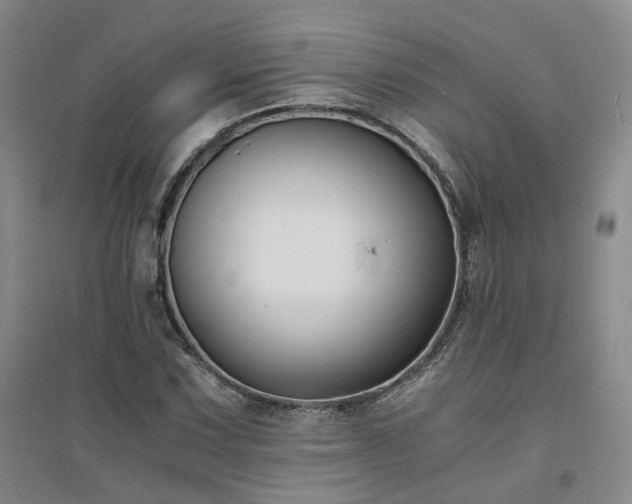 X0000094431067200711151337
