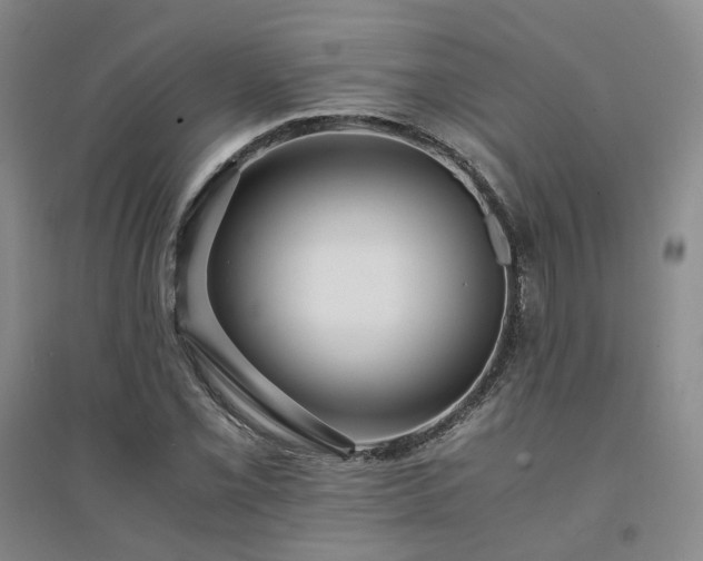 X0000094431069200711151337