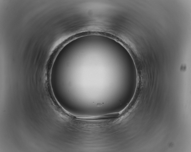 X0000094431070200711151337
