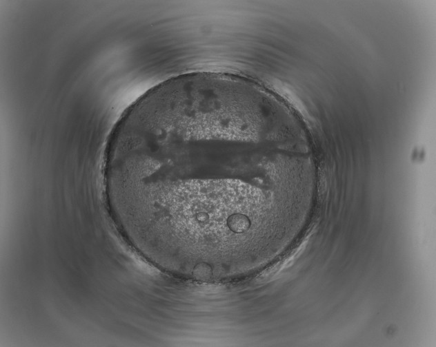 X0000094431071200711151337