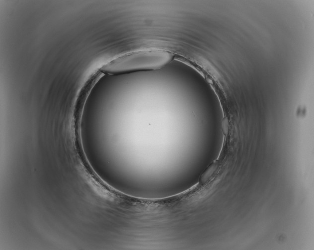X0000094431072200711151337