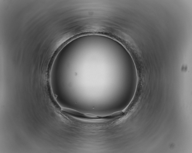 X0000094431073200711151337
