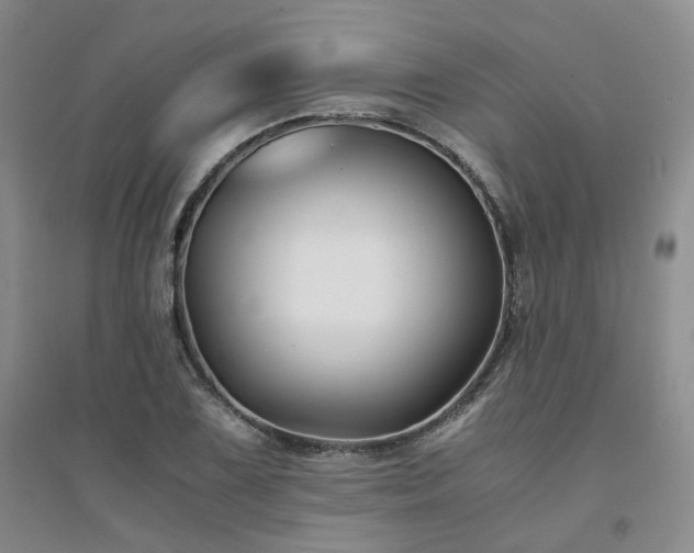 X0000094431075200711151337