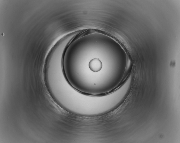 X0000094431076200711151337