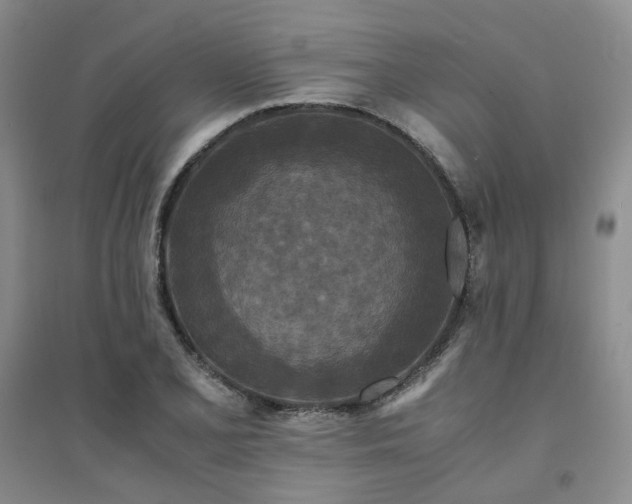 X0000094431077200711151337