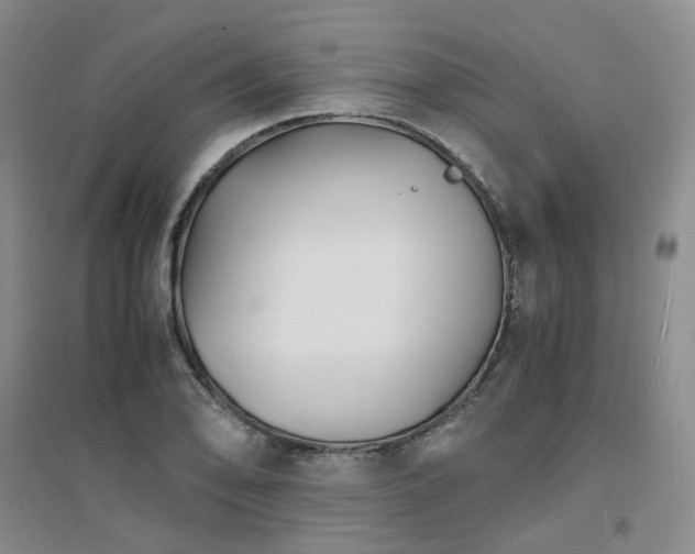 X0000094431078200711151337