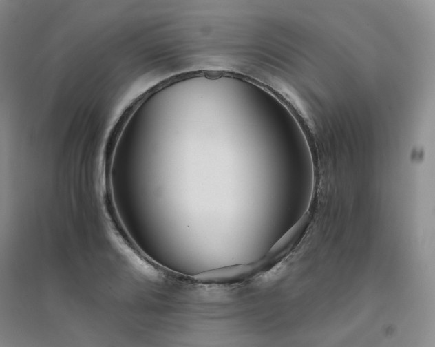 X0000094431080200711151337