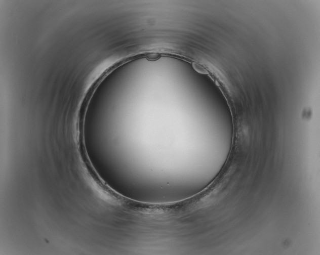 X0000094431082200711151337