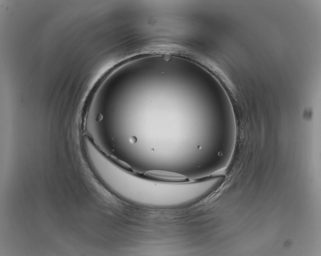 X0000094431083200711151337