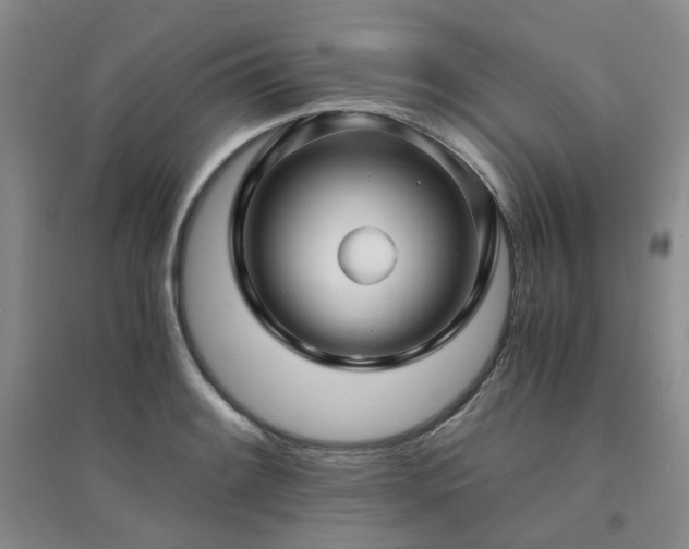 X0000094431084200711151337