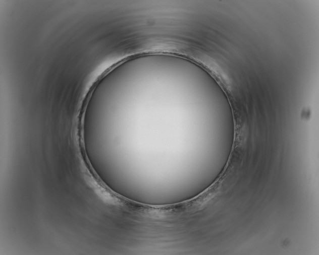 X0000094431086200711151337