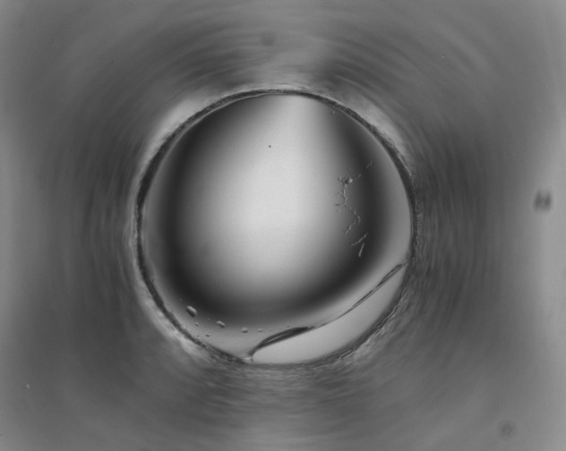 X0000094431088200711151337