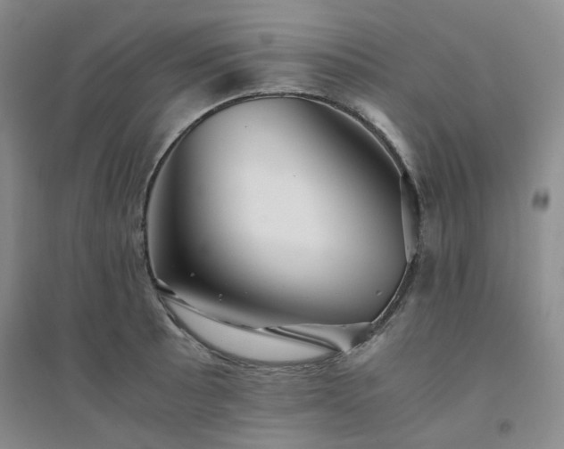 X0000094431089200711151337