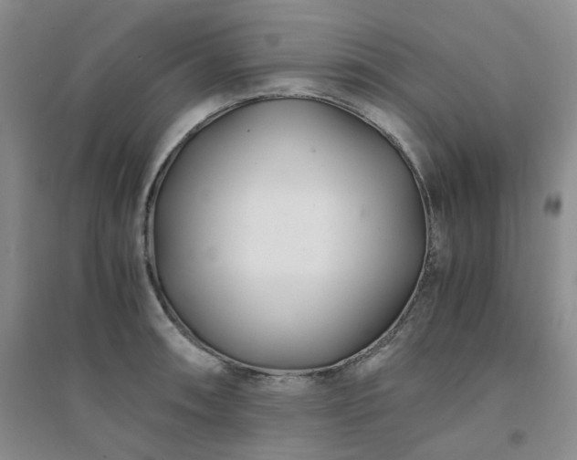 X0000094431090200711151337