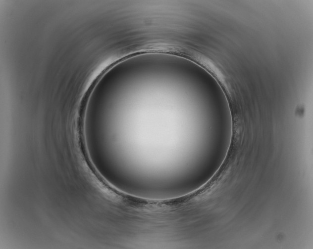 X0000094431091200711151337
