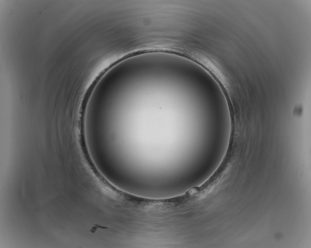 X0000094431093200711151337
