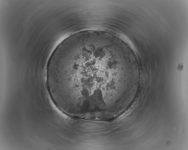 X0000094431095200711151337