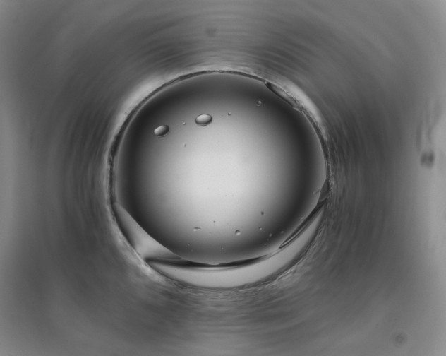 X0000094431096200711151337