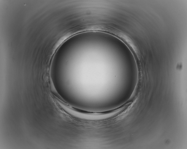 X0000094431097200711151337