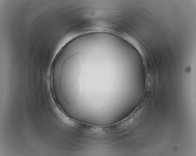 X0000094431098200711151337