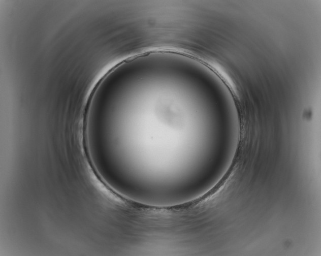 X0000094431100200711151337