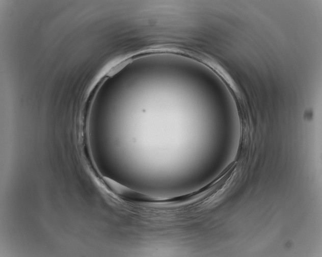 X0000094431101200711151337