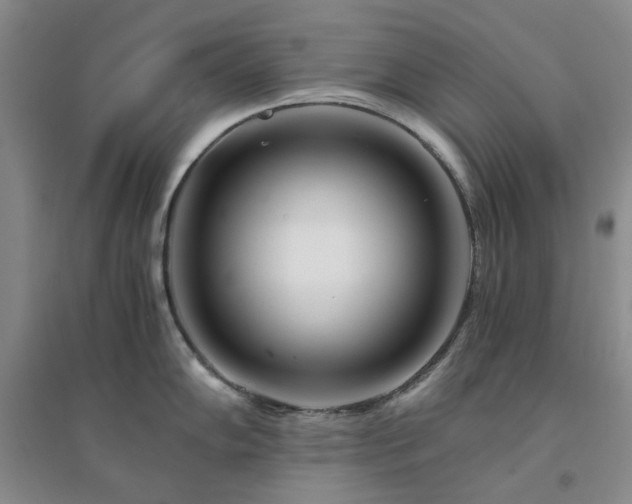 X0000094431102200711151337