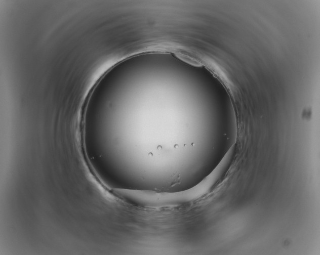 X0000094431103200711151336